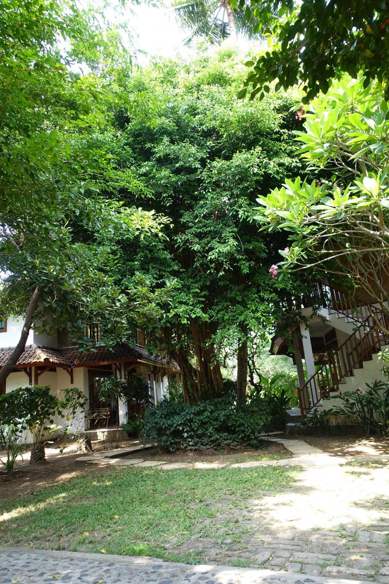 Villa Jati Mangsit Senggigi Esterno foto
